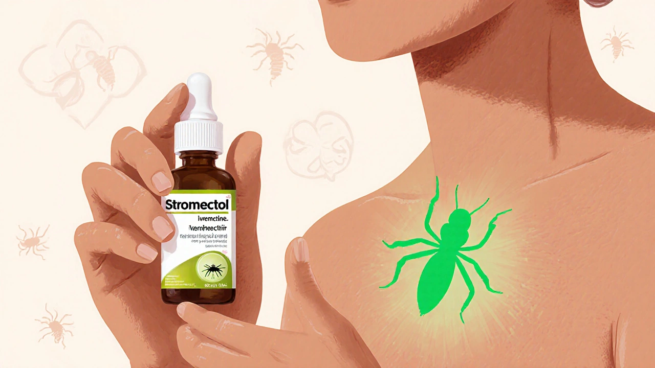 Stromectol (Ivermectine) vs alternatives : quel traitement choisir pour les infections parasitaires ?